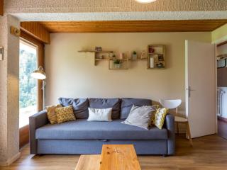 3 pièces, terrasse, parking à La Clusaz - FR-1-437-59 - La Clusaz - 8