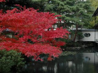 Matsusaki - Nomi - 3
