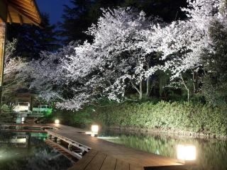 Matsusaki - Nomi - 6