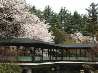Matsusaki - Nomi - 7
