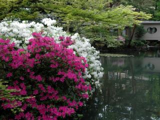 Matsusaki - Nomi - 5
