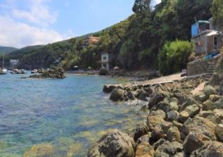 Cotetonda - Appartamento Ilvia - 3
