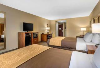 Comfort Inn & Suites Peachtree Corners - 4