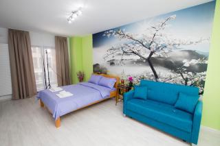 Studio Moghioros Park - Bucarest - 8