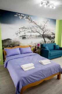Studio Moghioros Park - Bucarest - 9