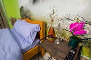 Studio Moghioros Park - Bucarest - 6