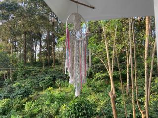 Ammus Homestay - Thekkady - 5