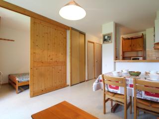 Appartement cosy 4 pers au pied des pistes, balcon et Wifi - FR-1-508-128 - Termignon - 9
