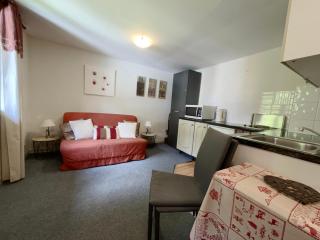 Studio cosy pour 4 pers. à 320m des pistes et proche centre - Arâches-la-Frasse - FR-1-572-102 - Les Carroz d'Araches - 0
