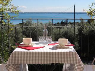 Villa Rosa - Moniga del Garda - 0