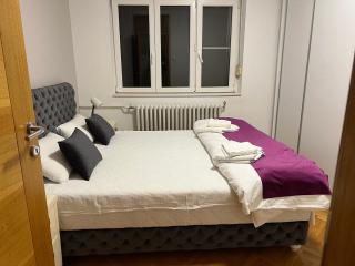 Apartment Vračar - Belgrado - 4