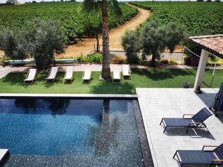Villa contemporaine avec piscine à débordement dans un domaine viticole - 2