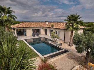 Villa contemporaine avec piscine à débordement dans un domaine viticole - 3