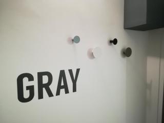 Gray apartment - 3