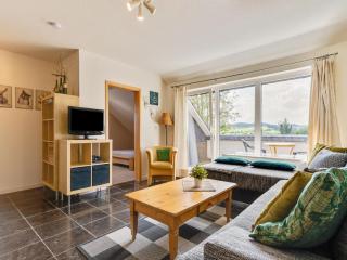 Cosy holiday home with terrace in Winterberg - Winterberg - 3