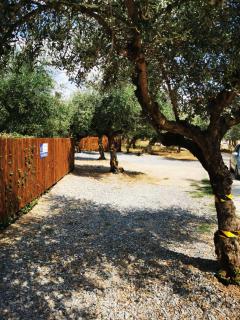 Alexandra Apartments - 8