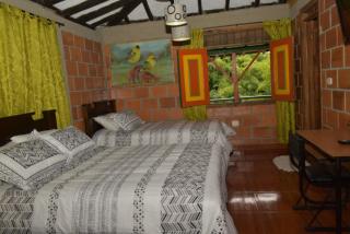 Finca Hotel Villa Mariana - Montenegro - 3