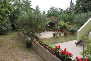 Apartments with a parking space Nerezine, Losinj - 7961 - Nerezine - 4
