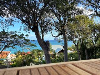 Le Caillou *** Belle villa, 4 chambres, piscine, vue mer *** - Le Diamant - 4