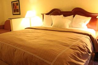 Budgetel Inns & Suites - Atlanta Galleria Stadium - Atlanta - 4