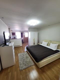 Avrig-Ferdinand Studio - Bucarest - 0
