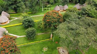Kibale Guest Cottages - Fort Portal - 9