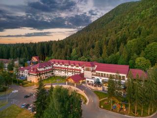 Ana Hotels Sport Poiana Brasov - Poiana Brasov - 9