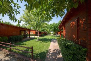 Camping Els Ports - Arnes - 9