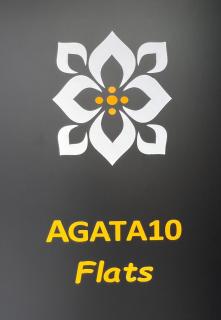 AGATA10-3I - Alicante - 2