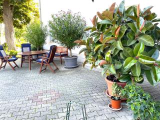 Ferienwohnung Lilie - Lübbenau - 7