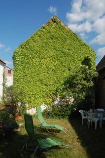 Apartment Hofgasse-1 by Interhome - 1