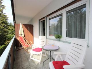 Apartment Am Birkenhain-19 by Interhome - Seefeld in Tirol - 6