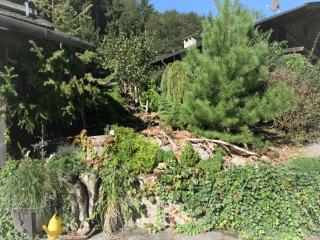 Apartment Chalet Astholz by Interhome - 1