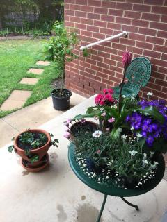 Bird Abode - Maryborough - 6