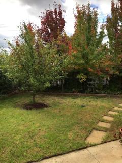 Bird Abode - Maryborough - 5