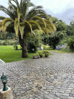 Quinta do Ferrador - Viana do Castelo - 3