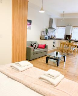 Battersea apartment - Londra - 8