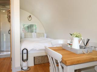 Elm - Uttoxeter - 3
