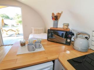 Elm - Uttoxeter - 4