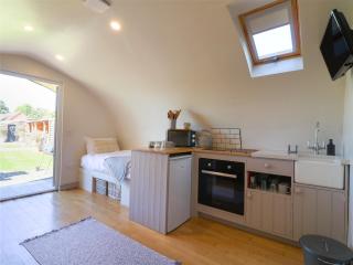 Elm - Uttoxeter - 5