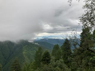 SERENITY CAMPS, MUSSOURIE - Mussoorie - 3