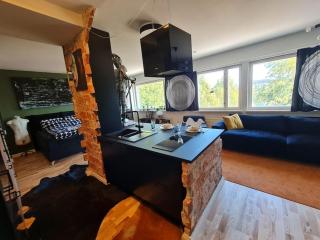 ROVIO ART APARTMENTS Gummeruksenkatu 5 Jyväskylä - Jyväskylä - 7