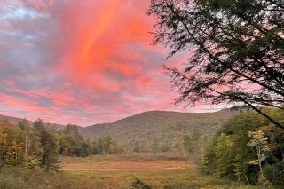 The Pond House - 8