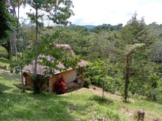 Orangutan Bungalow - Bukit Lawang - 2