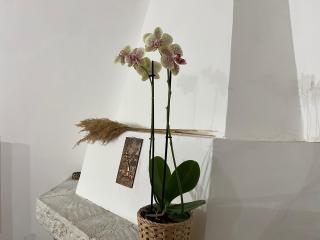 Il Granaio casa vacanze - 0