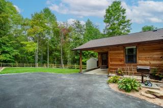 Forest Home Hot Tub Fire Pit Pool Table - 7