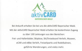 Landurlaub Eichinger inklusive AktivCard! E-Ladesäule! Ganz Jahres beheizter Salzwasserpool - Thurmansbang - 8