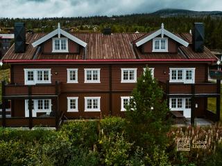 Great apartment in Trysil, ski inout, wifi, sauna - 1