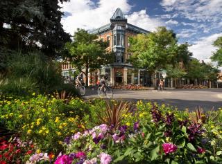 Breathtaking Condo in the Heart of Old Town - Fort Collins - 1