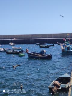 Casa Bica do Cais - By the Sea - 6
